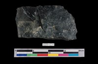 藏品(煤)的圖片